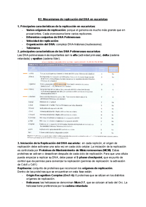 Miniatura del documento Unidad-B2-eucariotas.pdf