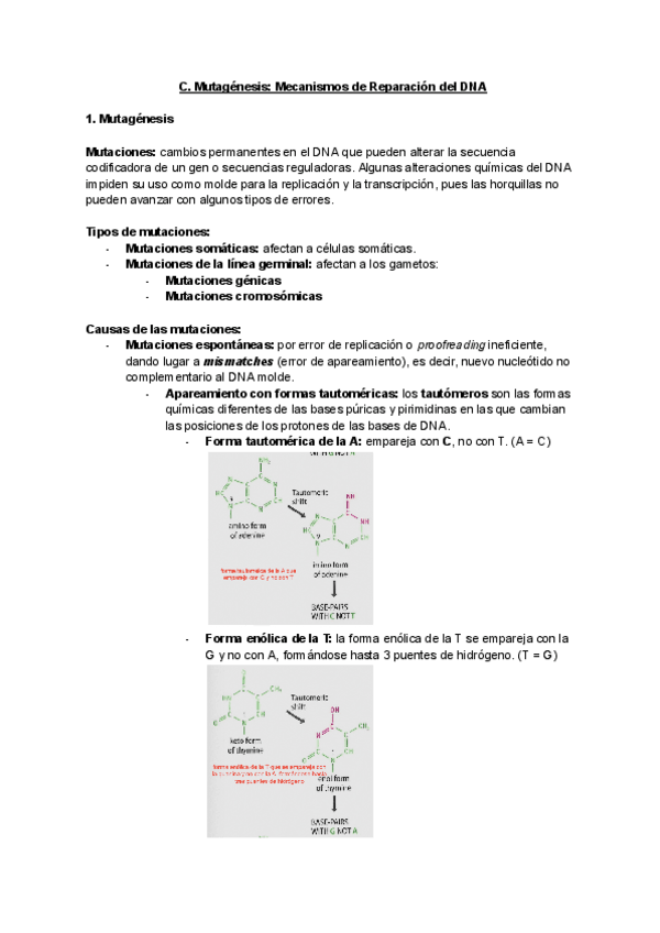 Miniatura del documento Unidad-C-mutagenesis.pdf
