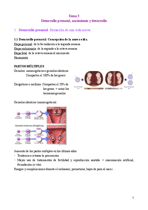Miniatura del documento APUNTES-T.3-CICLO-VITAL.pdf