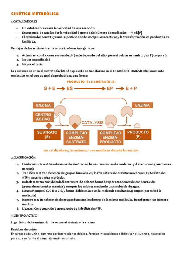 Miniatura del documento T.1-CINETICA-METABOLICA.pdf