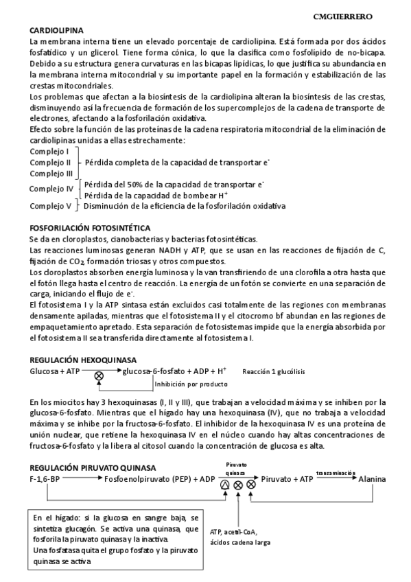 Miniatura del documento APUNTES_BIOQUÍMICA.pdf