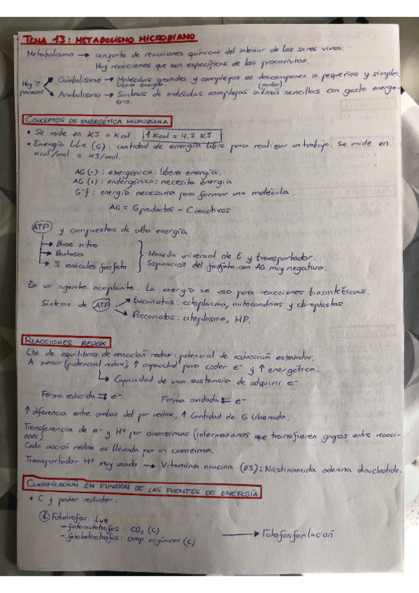 Miniatura del documento Temas-13-y-14-Microbiologia.pdf