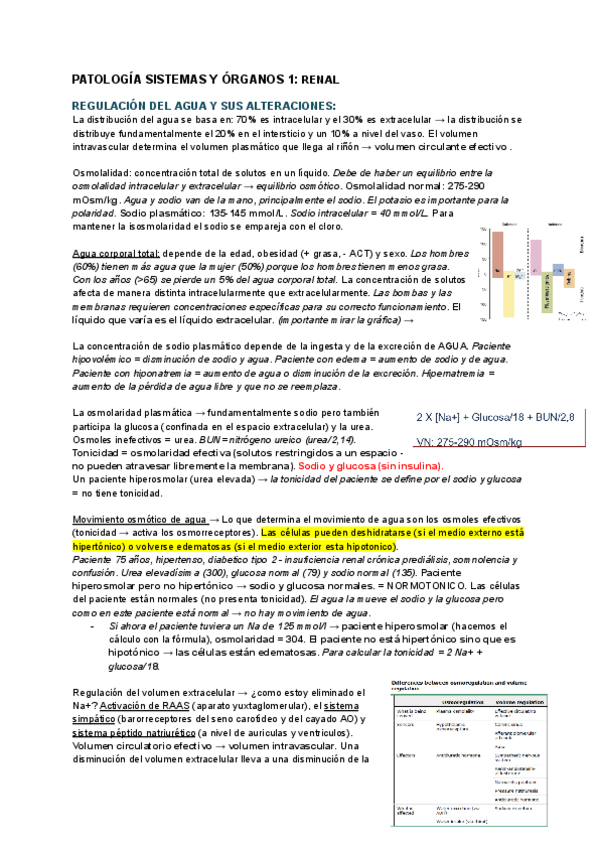 Miniatura del documento POS1-RENAL.pdf