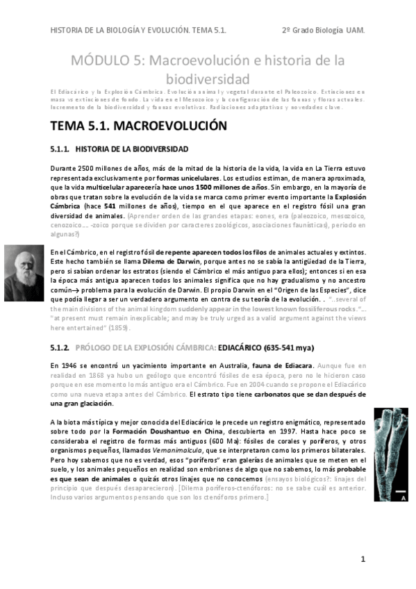Miniatura del documento HBEApT5.1.-macroevolucion.pdf