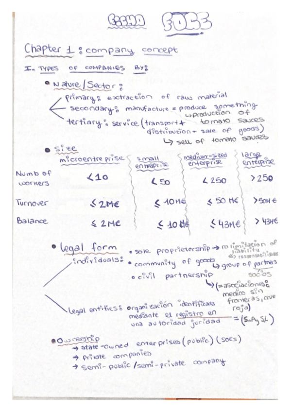 Miniatura del documento Chapter-1-Company-concept.pdf