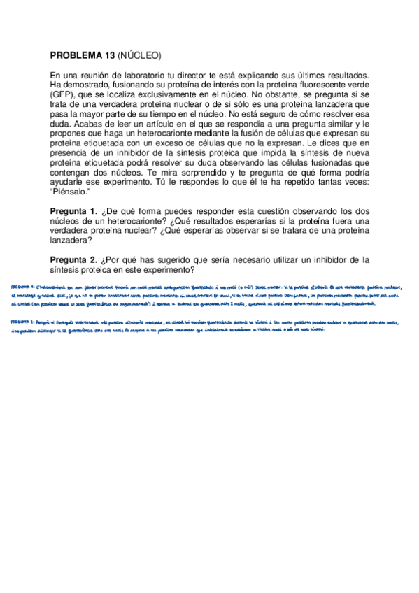 Miniatura del documento problemes-13-19-solucionats.pdf