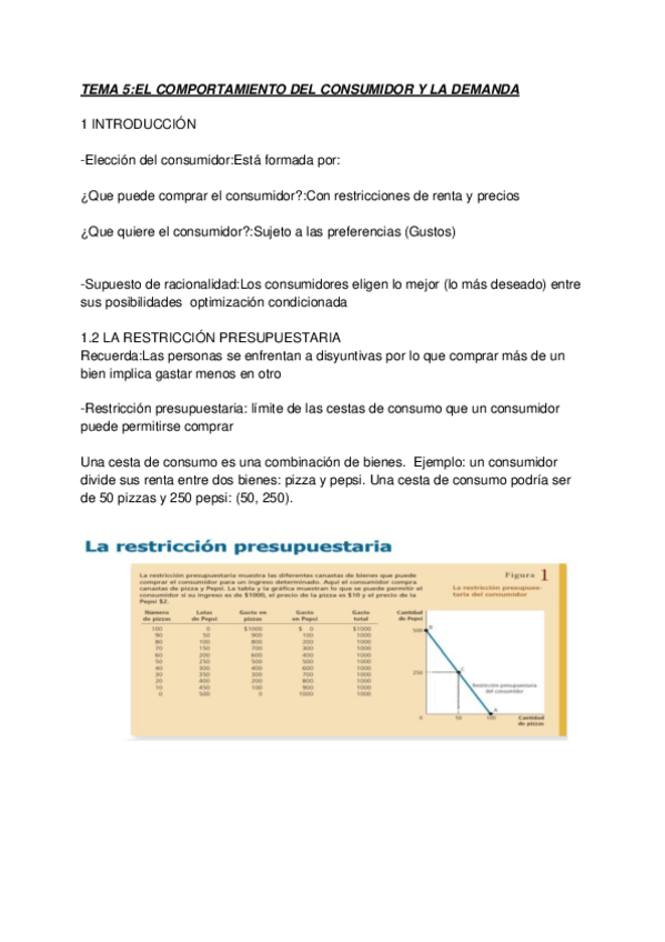 Miniatura del documento MICROECONOMIA-TEMA-5-EL-COMPORTAMIENTO-DEL-CONSUMIDOR-Y-LA-DEMANDA.pdf
