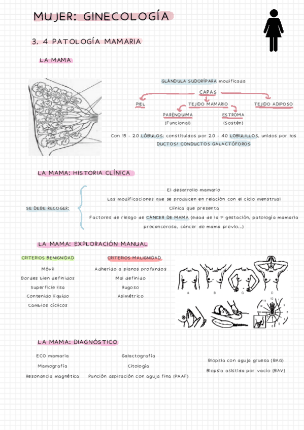 Miniatura del documento 3.-4-PATOLOGIA-MAMARIA.pdf