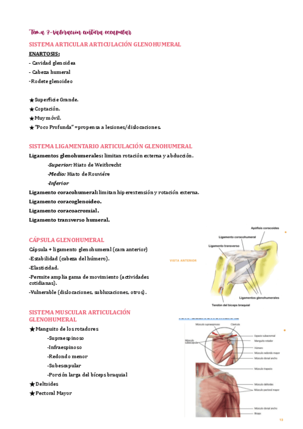 Miniatura del documento tema-3.pdf