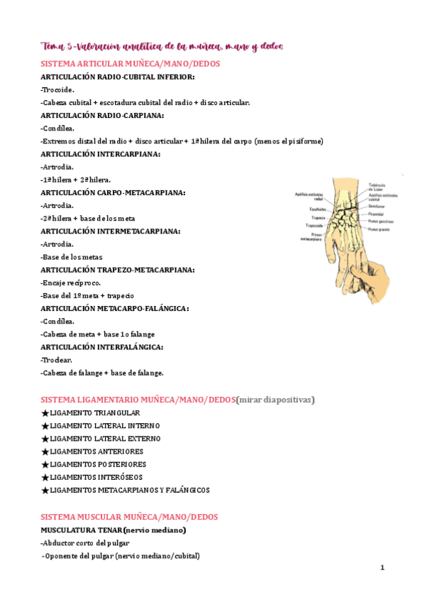 Miniatura del documento tema-5.pdf