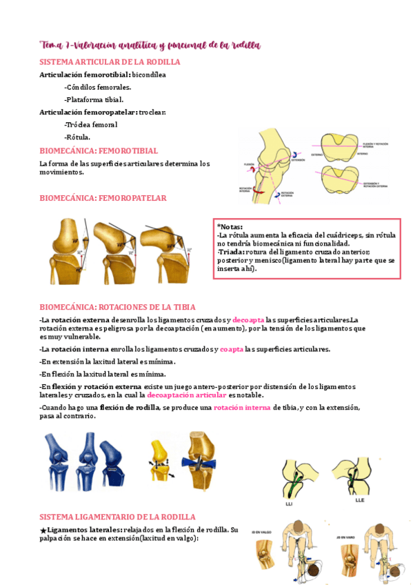 Miniatura del documento tema-7.pdf