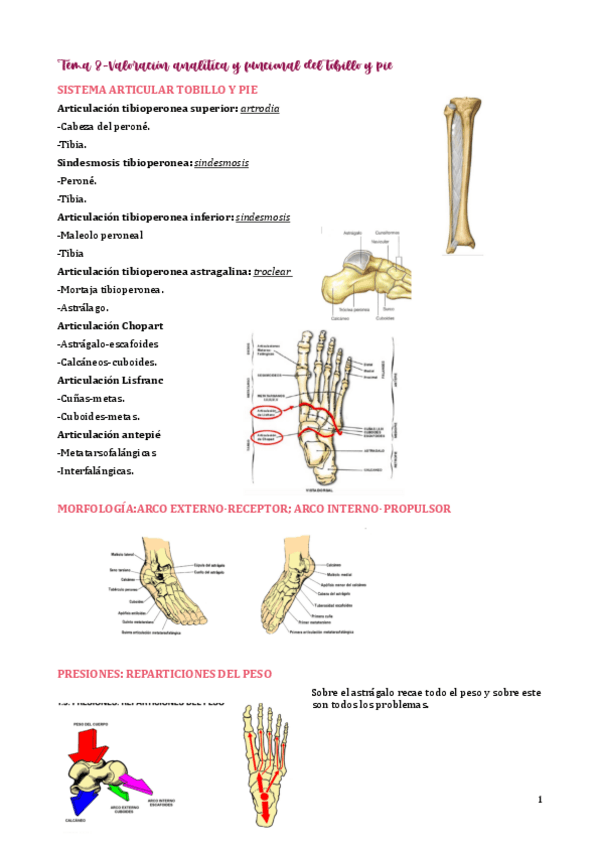 Miniatura del documento tema-8.pdf
