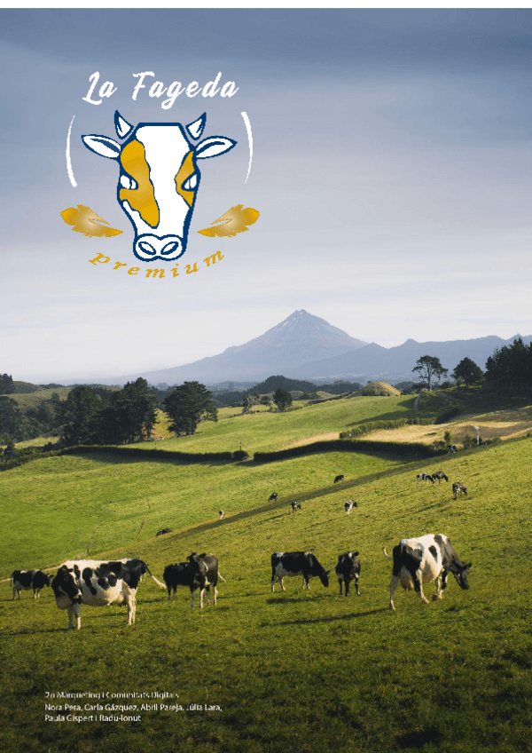 Miniatura del documento TREBALL-FINAL-DISSENY-DE-PRODUCTE-GRUP-2.pdf