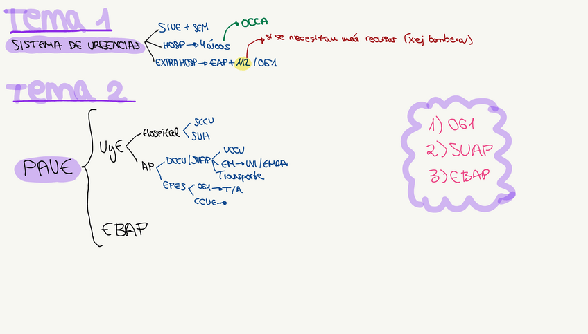 Miniatura del documento Esquemas-ENFERMERIA-DE-URGENCIAS.pdf
