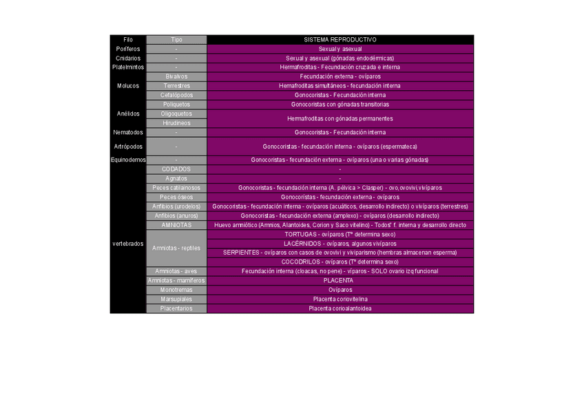 Miniatura del documento Zoologia-tema-4-5-y-6-6.6-resumen.pdf