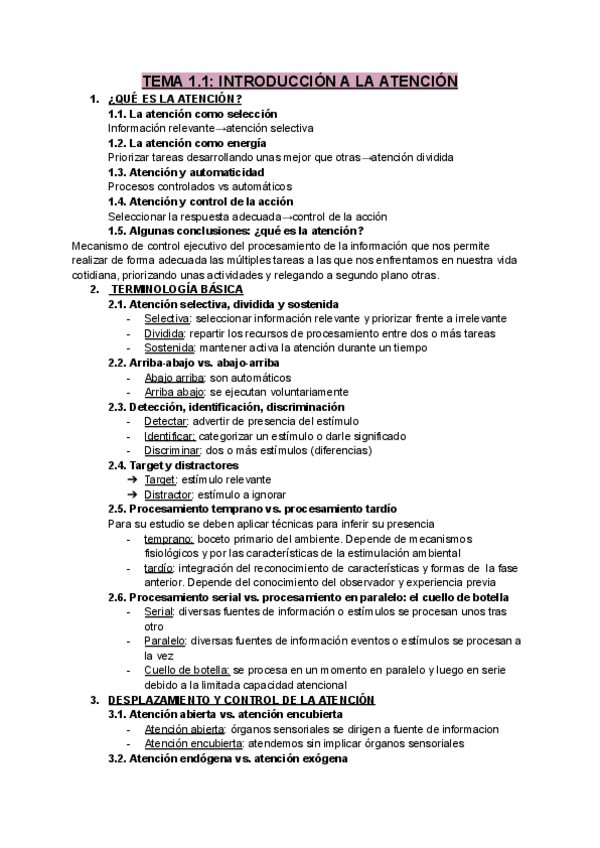 Miniatura del documento resumen-atencion.pdf