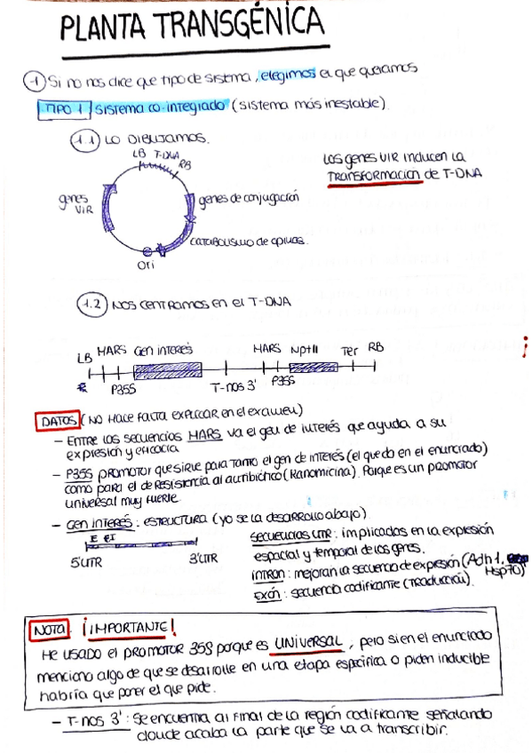 Miniatura del documento Ej-A.-tumefaciens.pdf