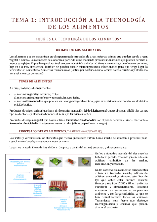 Miniatura del documento TEMA-1.pdf