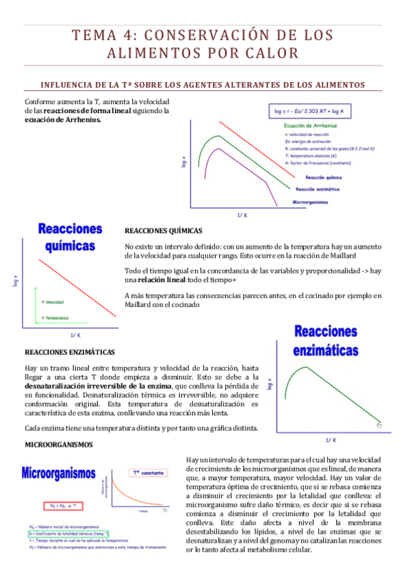 Miniatura del documento TEMA-4.pdf