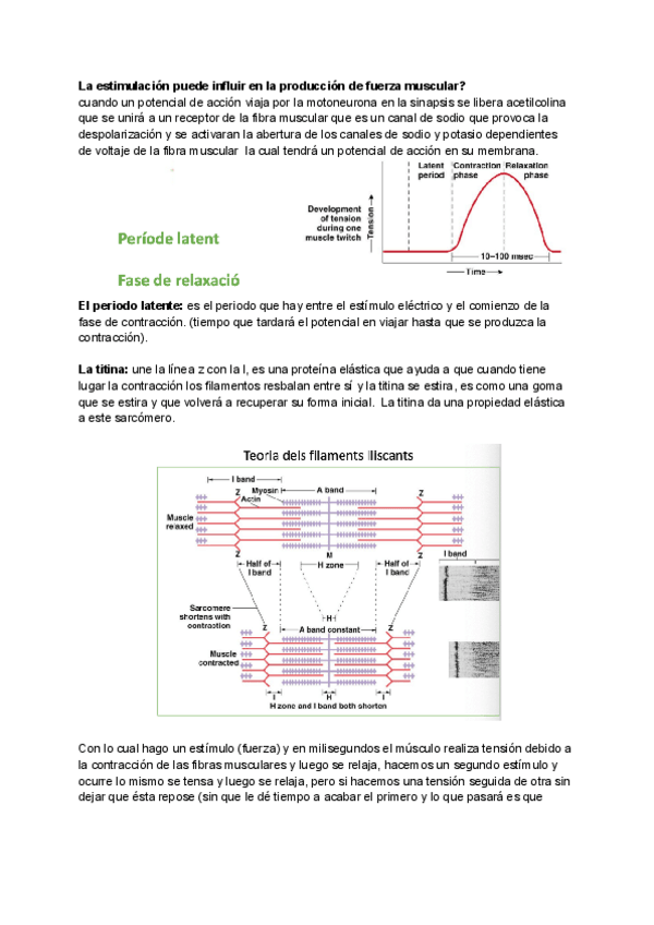 Miniatura del documento tema-9-Biomecanica-muscular.pdf