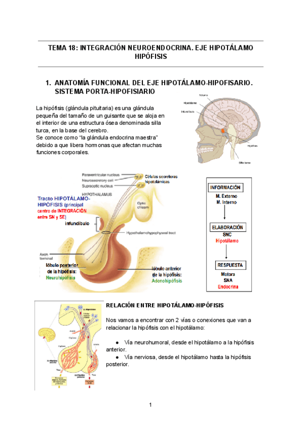 Miniatura del documento TEMA-18-FCH1.pdf
