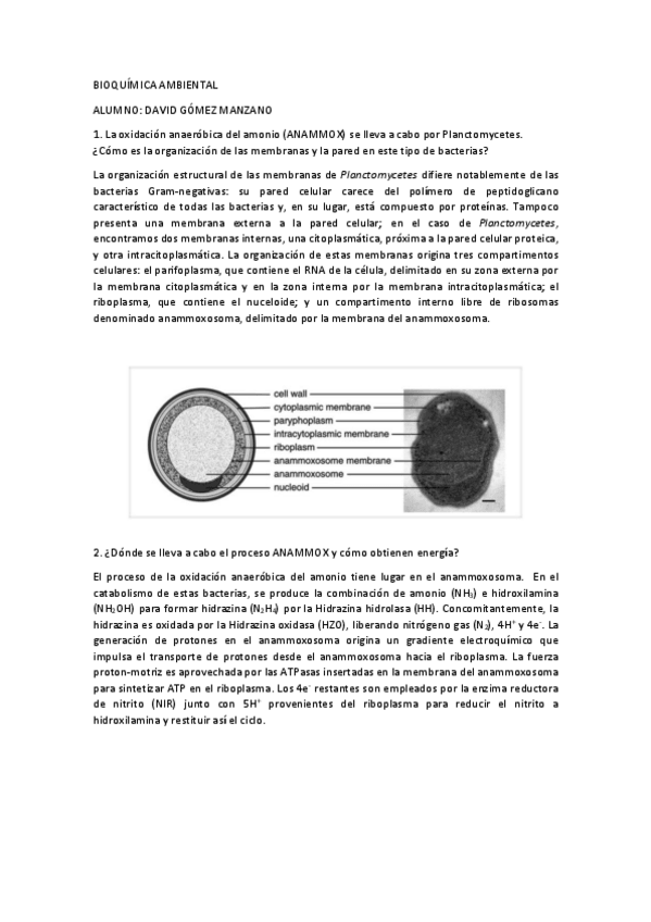 Miniatura del documento Tarea-ANAMMOX.pdf