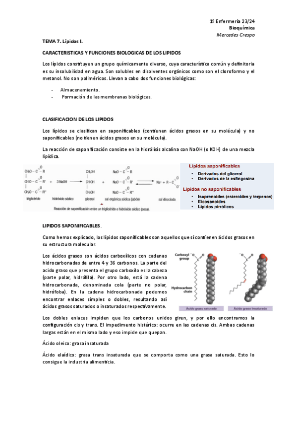 Miniatura del documento Tema-7-Lipidos-I.pdf