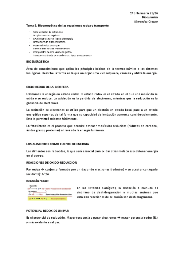 Miniatura del documento Tema-9-Bioenergetica-de-las-reacciones-redox-y-transporte.pdf