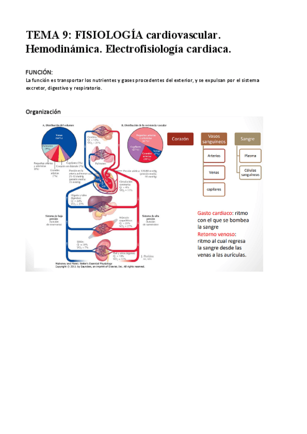 Miniatura del documento Apuntes-fisiologia-TEMAS-9-FINAL.pdf
