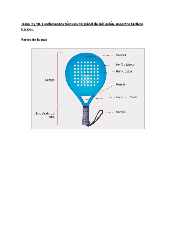 Miniatura del documento TEMAS-9-Y-10-RAQUETA.pdf