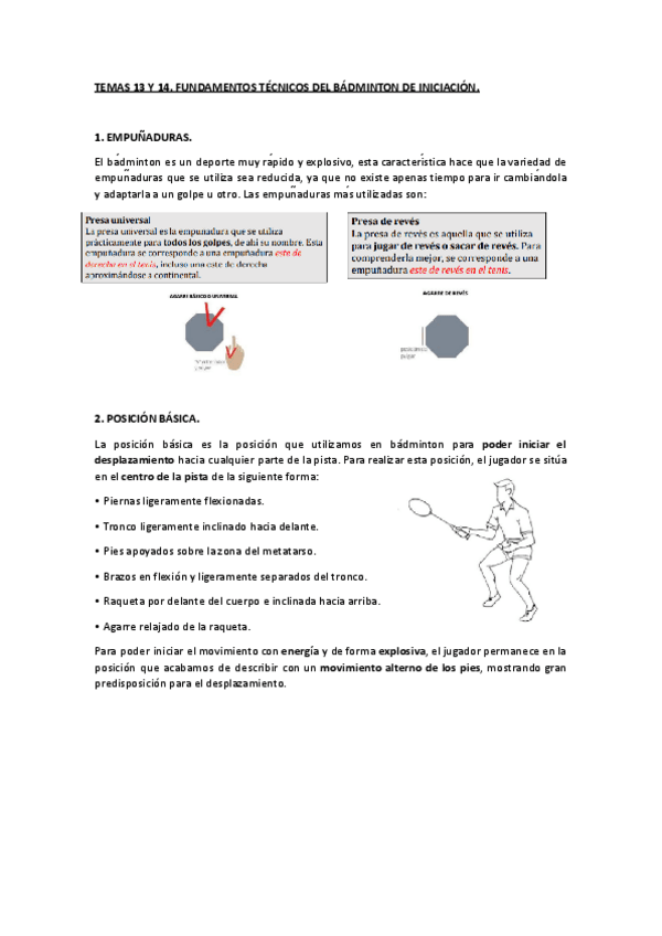 Miniatura del documento TEMAS-13-Y-14-RAQUETA.pdf