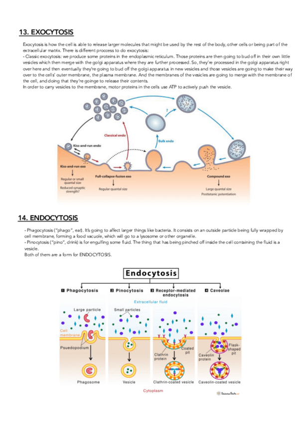 Miniatura del documento CHAPTERS-13-15.pdf