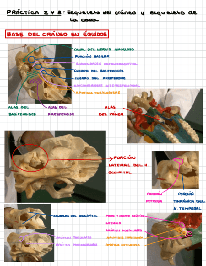 Miniatura del documento Practica-2-y-3.pdf