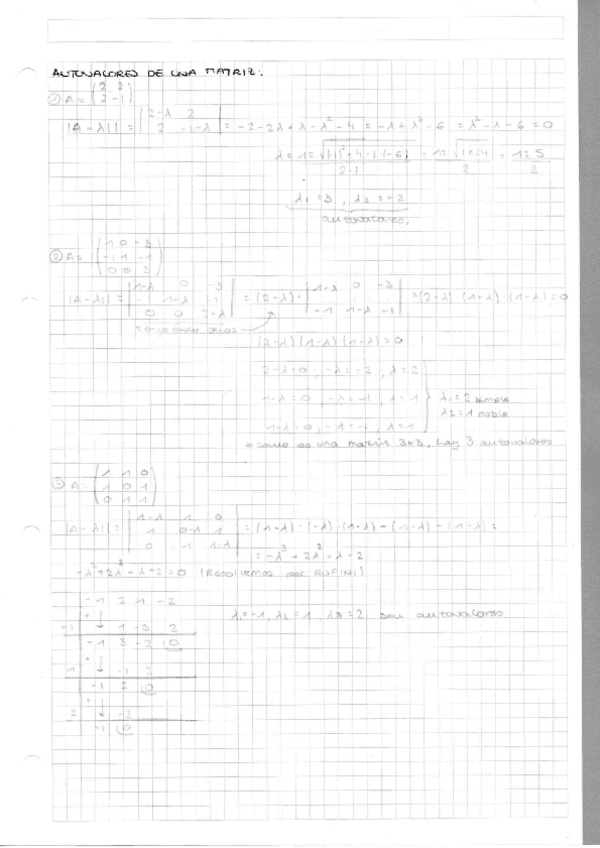 Miniatura del documento Tema-1.-Matrices.pdf