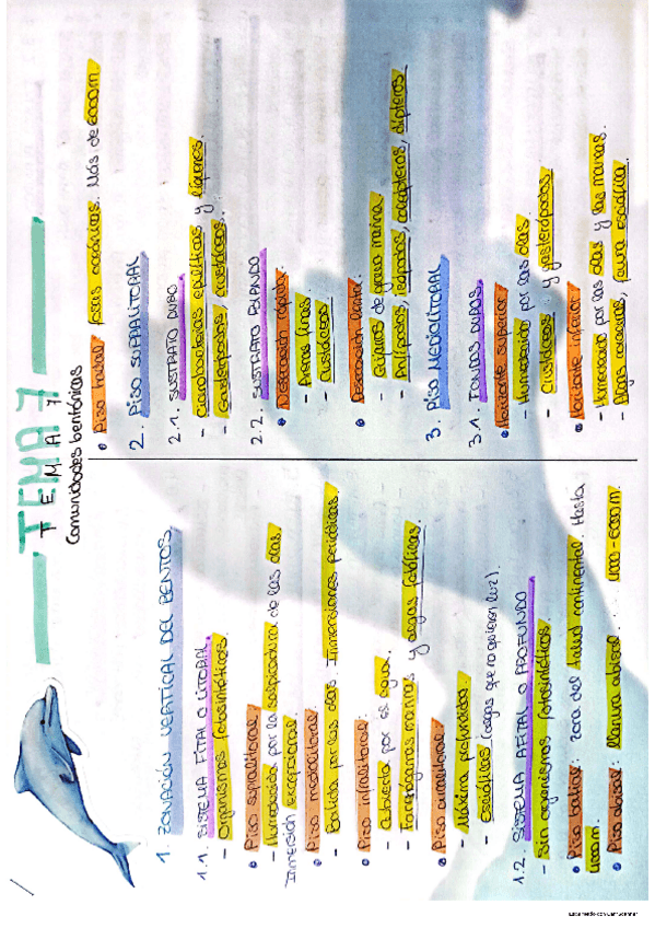 Miniatura del documento TEMA-7.pdf