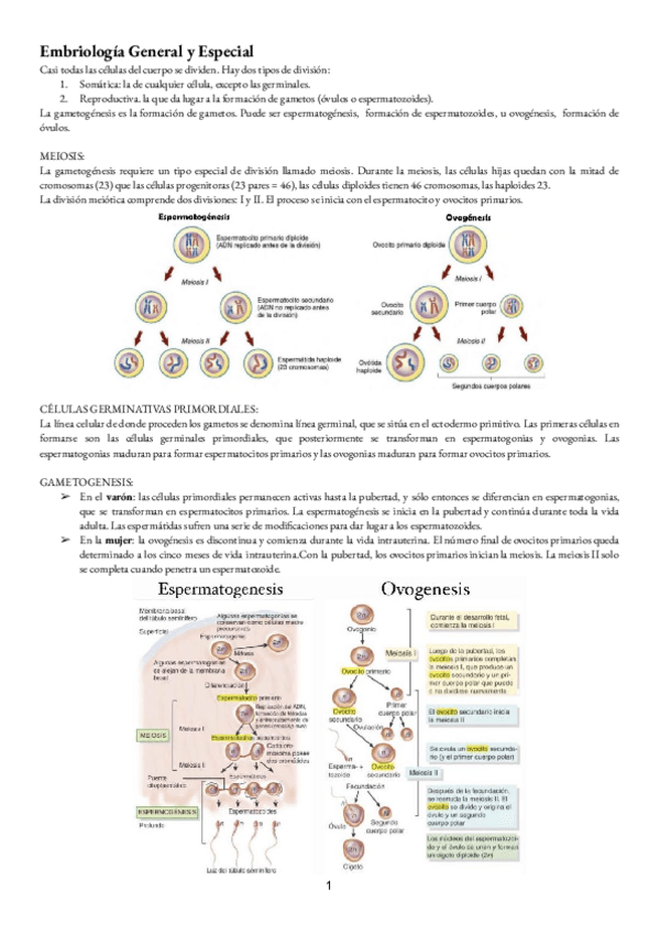 Miniatura del documento Anatomia-general-T-1and2-Embriologia-2.pdf