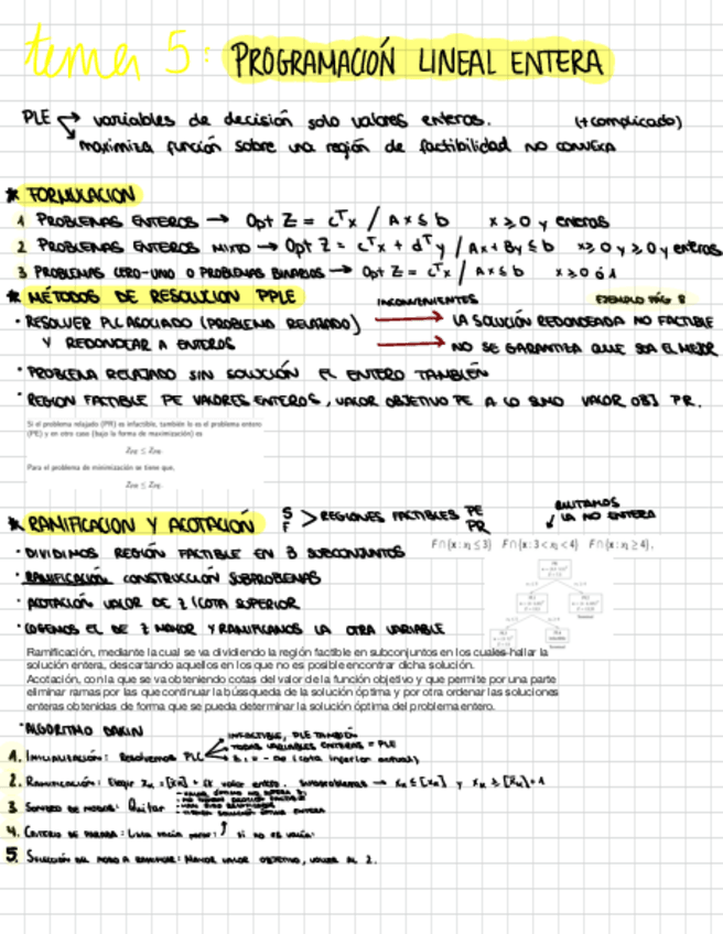 Miniatura del documento Tema-5-Investigacion-operativa.pdf