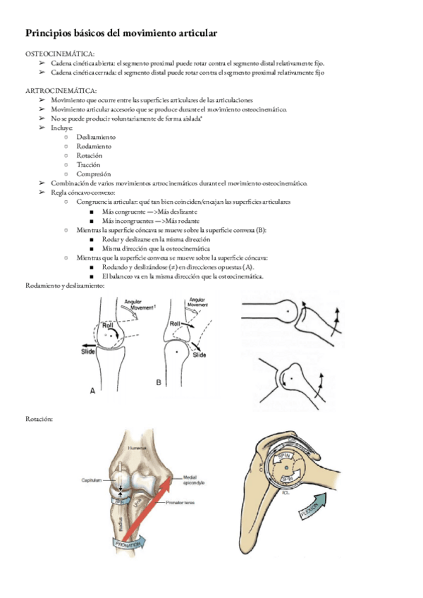 Miniatura del documento Biomecanica-T-4-principios-cinematicas-del-movimiento-articular.pdf