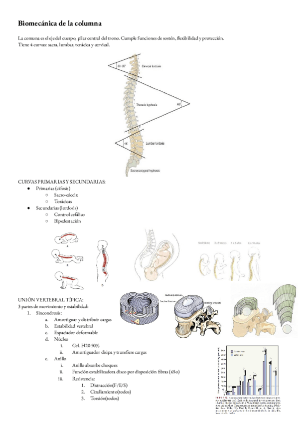 Miniatura del documento Biomecanica-T-8-columna.pdf