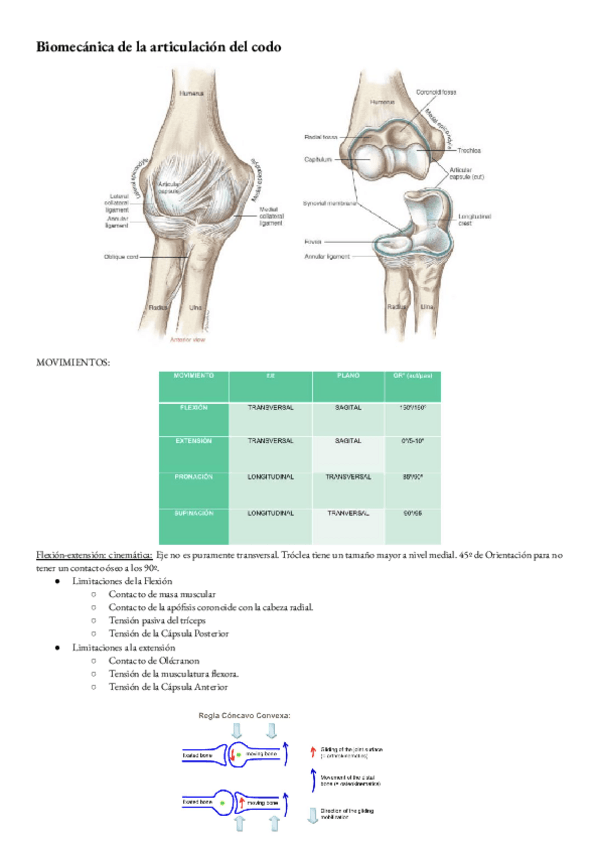 Miniatura del documento Biomecanica-T-5-codo.pdf