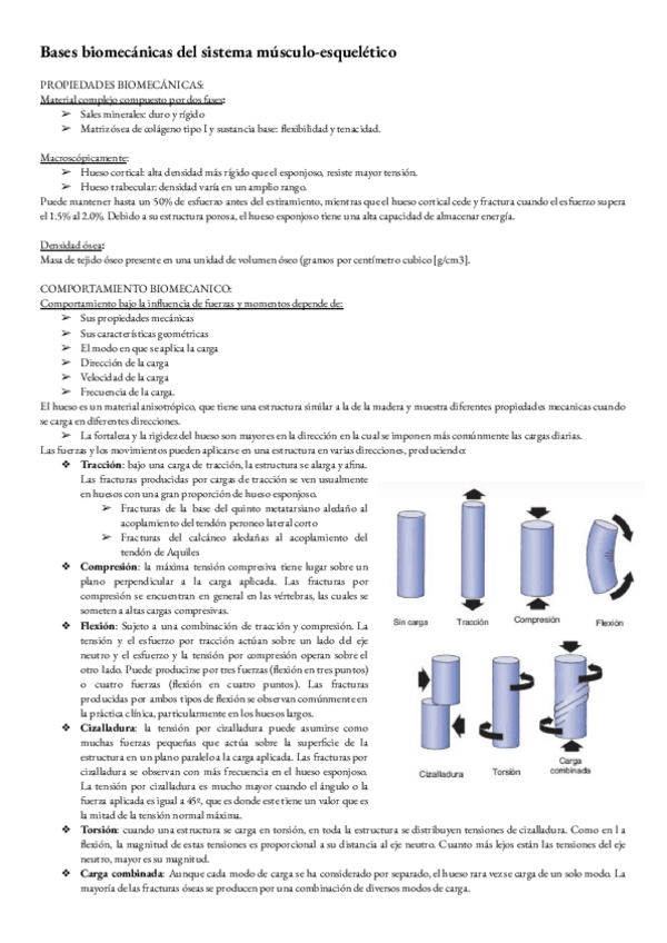 Miniatura del documento Biomecanica-T-2-bases-biomecanicas-del-sistema-musculo-esqueletico..pdf