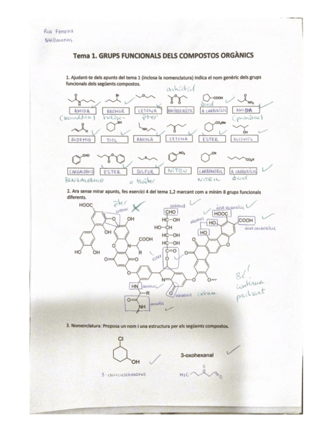 Miniatura del documento exercicis-repas-TEMA-1.pdf