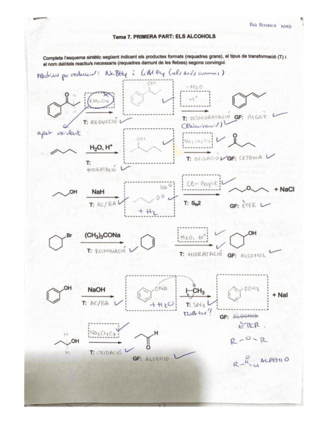 Miniatura del documento exercicis-repas-TEMA-7.pdf
