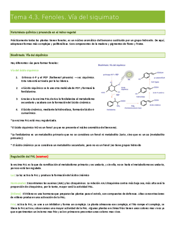 Miniatura del documento fisio-vegetal-bloque-4.pdf