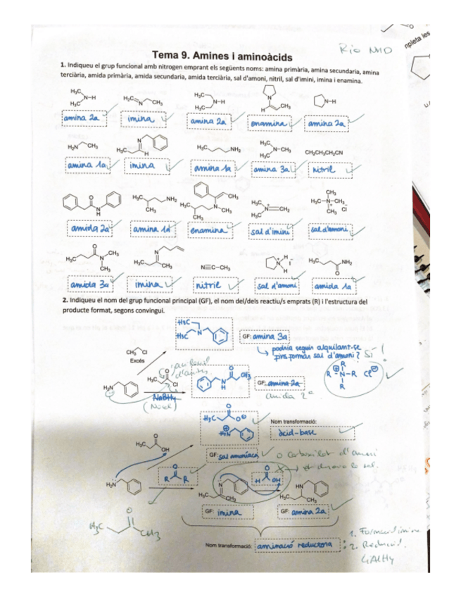 Miniatura del documento exercicis-repas-TEMA-9.pdf