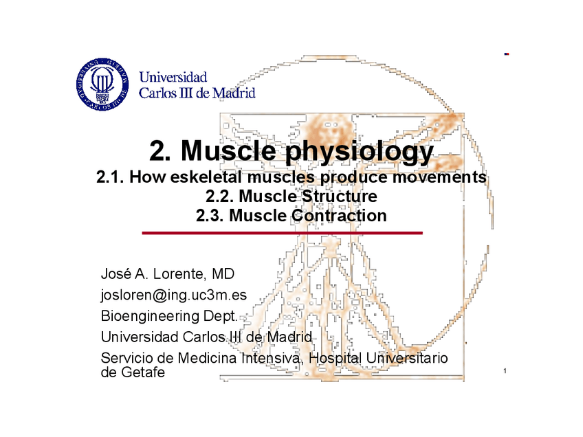 Miniatura del documento 2.2.muscle2.apuntado.pdf