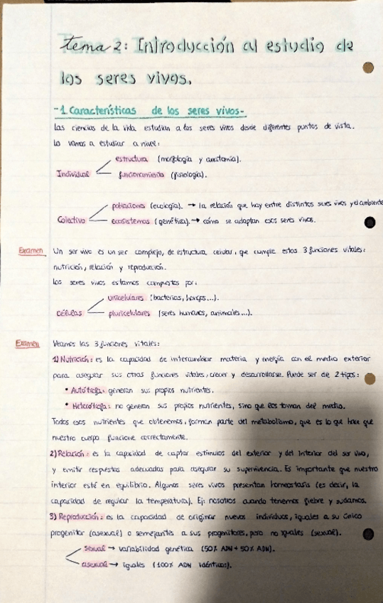 Miniatura del documento APUNTES-COMPLETOS-TEMA-2.pdf