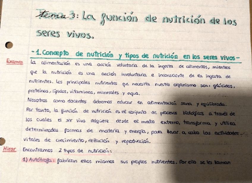 Miniatura del documento APUNTES-COMPLETOS-TEMA-3.pdf