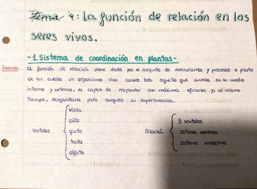 Miniatura del documento APUNTES-COMPLETOS-TEMA-4.pdf