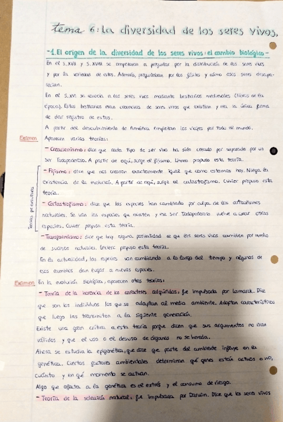 Miniatura del documento APUNTES-COMPLETOS-TEMA-6.pdf